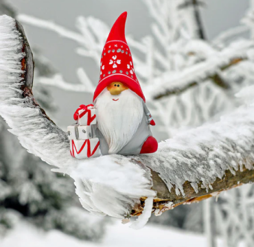 Newsletter Popup Image